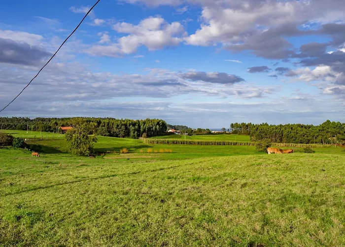 Apto Rosa - Casa El Gaitero Susacasa