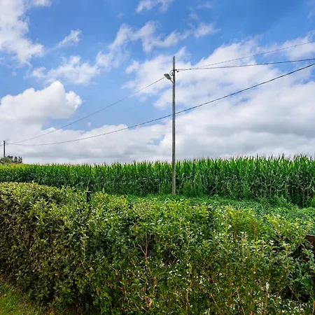 Apto Rosa - Casa El Gaitero Casa di campagna